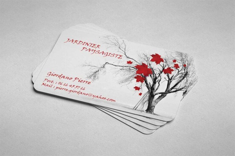 MokeUp-Carte-Visite-Pierre3