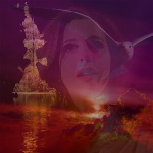 photomontage11