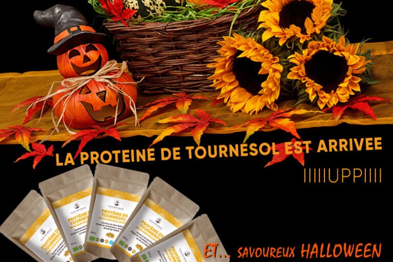 Arrivee-Tournesol