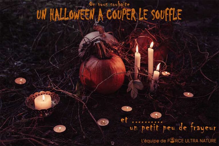 Bon-Halloween