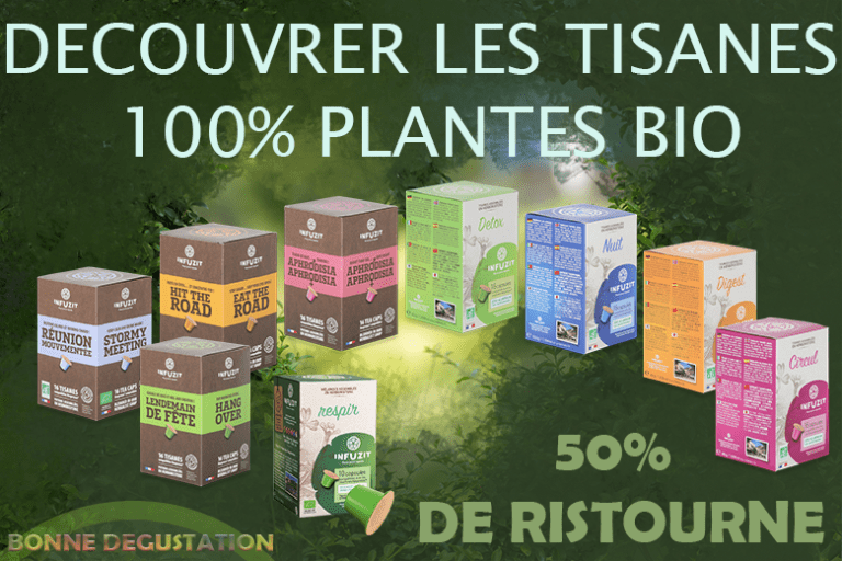 Plan de travail 1