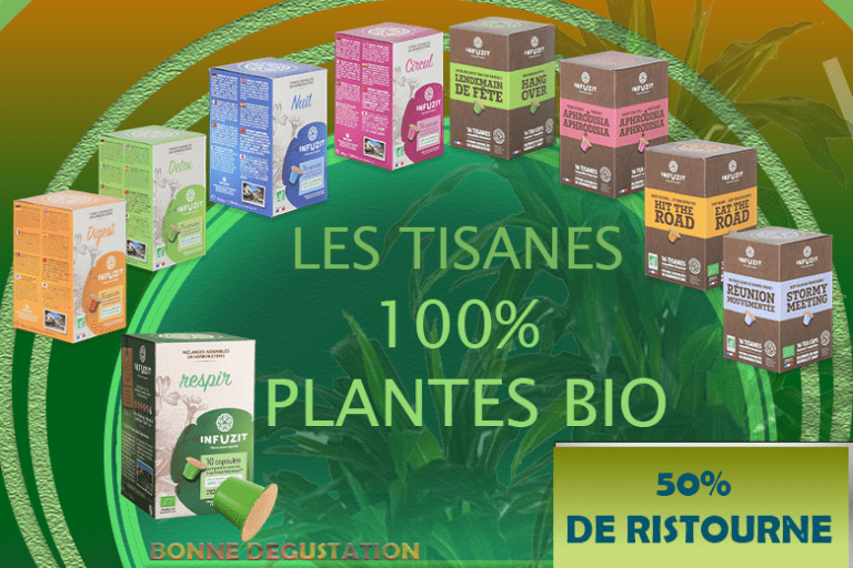 Plan de travail 1 copie
