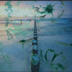 photomontage-fond2